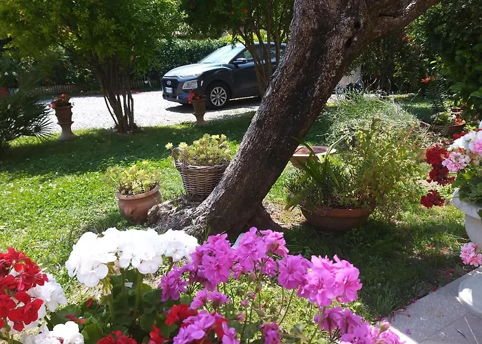 Lula B&B